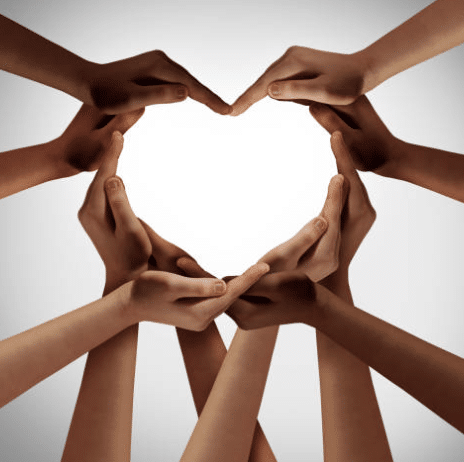 Counseling, Mentorship, Education, Connection photo